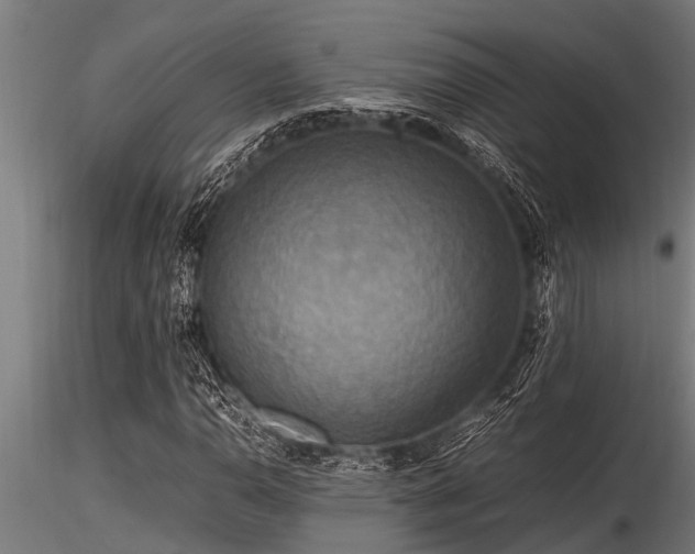 X0000116581110200912101534