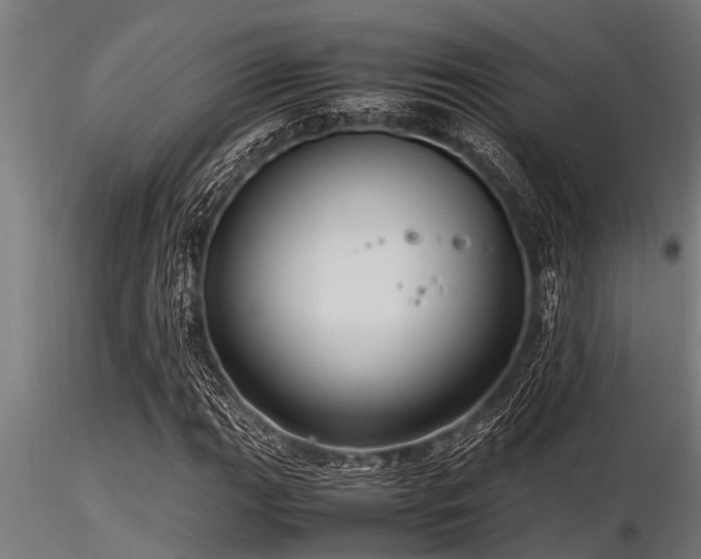 X0000116581111200912101534