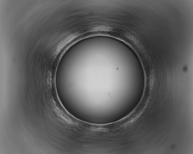 X0000116581113200912101534