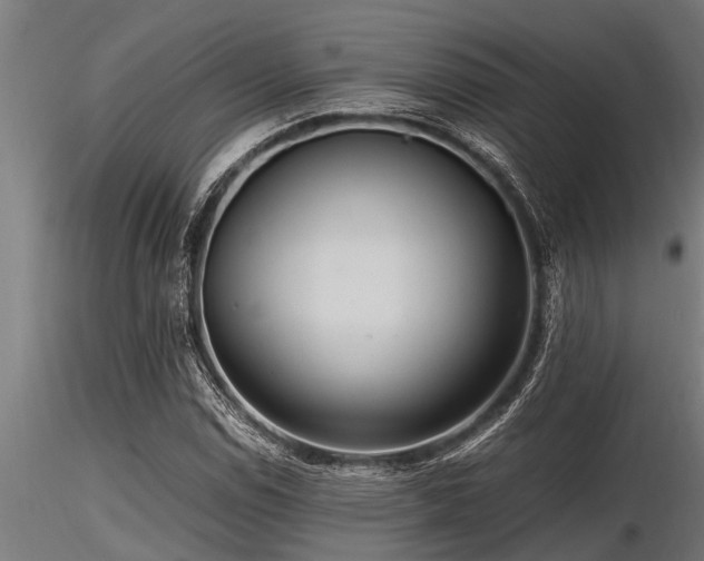 X0000116581114200912101534