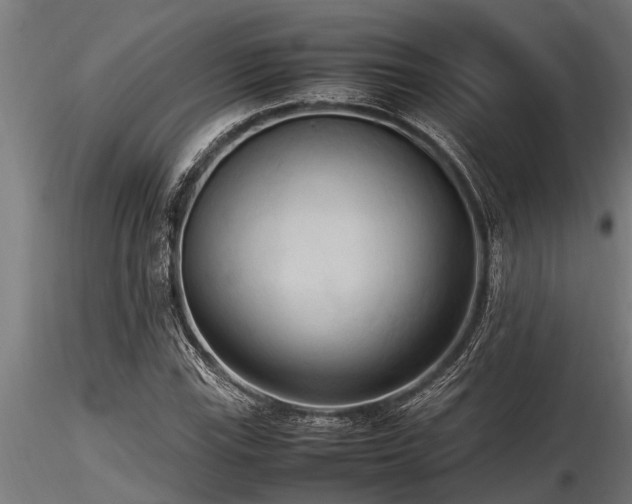 X0000116581115200912101534