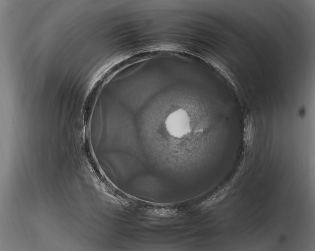 X0000116581117200912101534