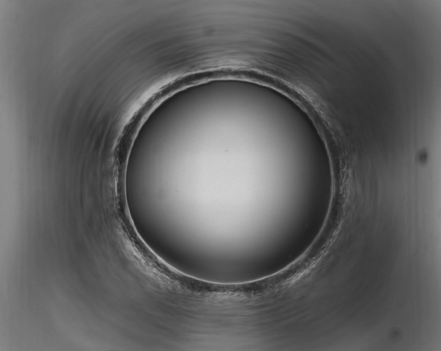 X0000116581118200912101534