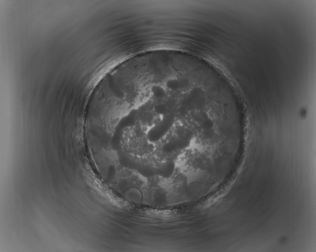 X0000116581121200912101534