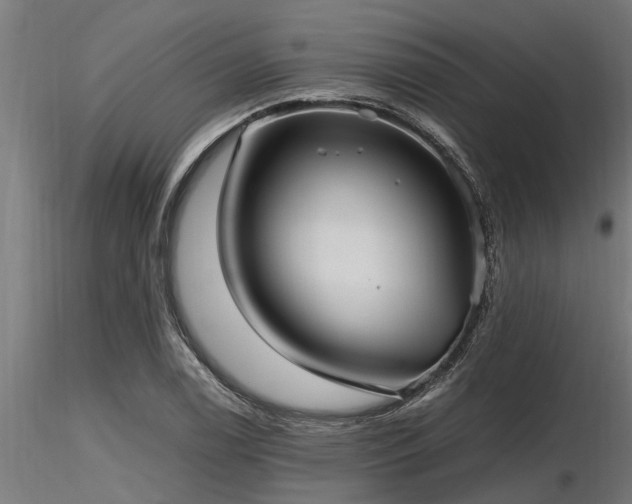 X0000116581122200912101534