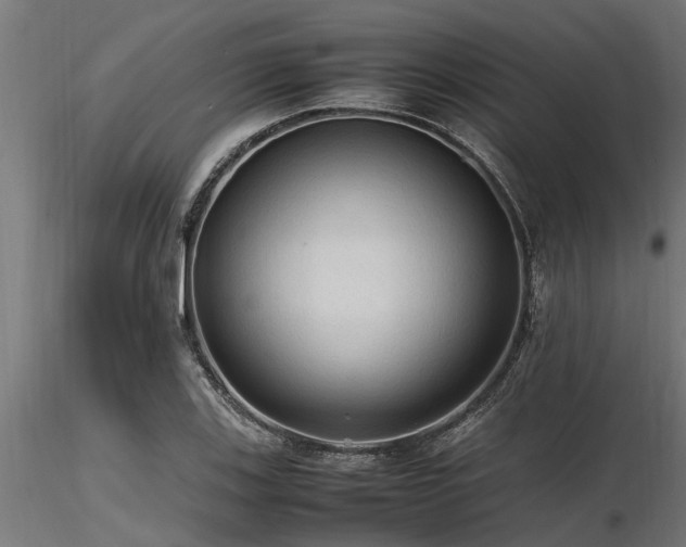X0000116581123200912101534