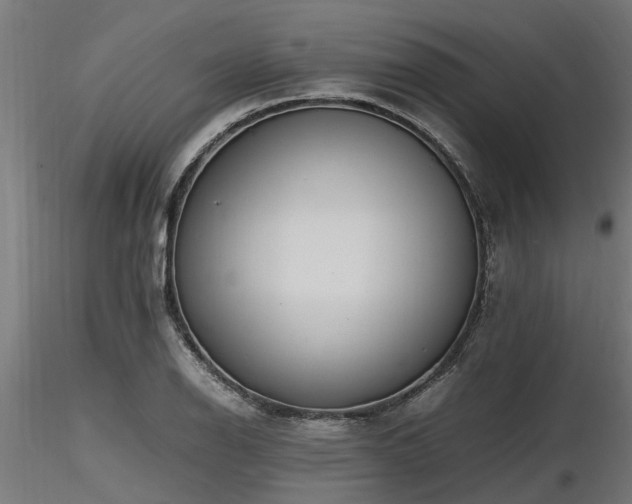 X0000116581126200912101534