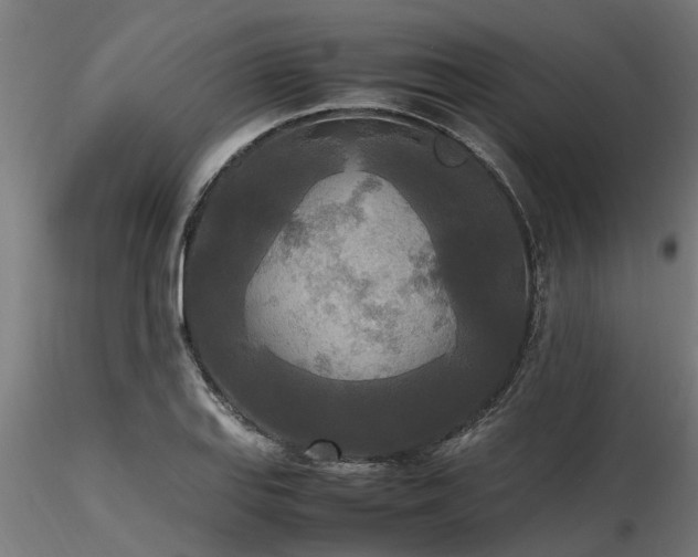 X0000116581127200912101534