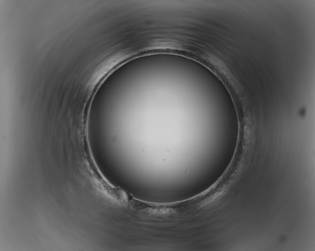 X0000116581129200912101534