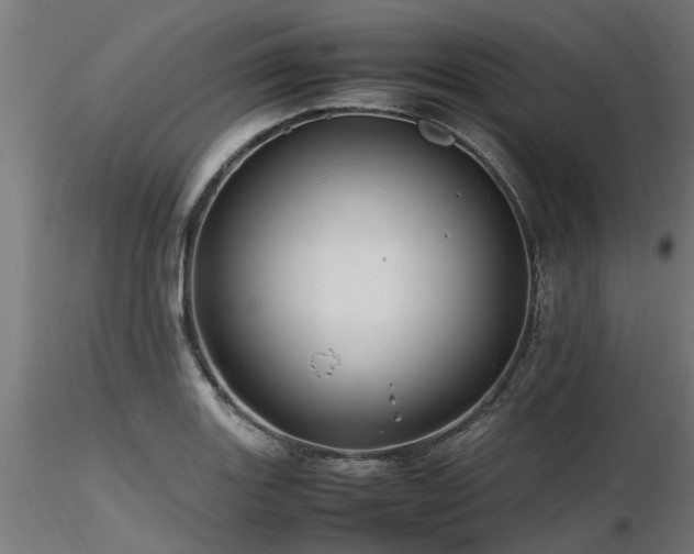 X0000116581131200912101534