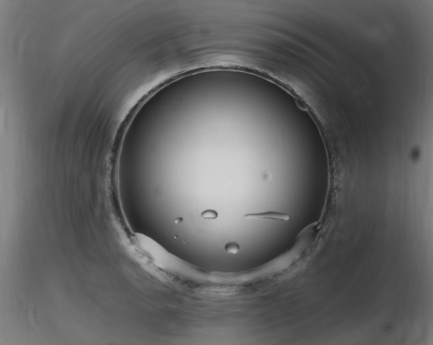 X0000116581134200912101534
