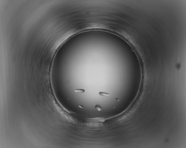 X0000116581137200912101534