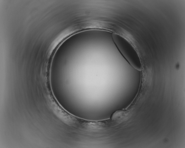 X0000116581138200912101534