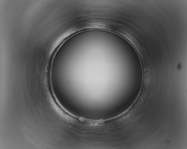 X0000116581139200912101534