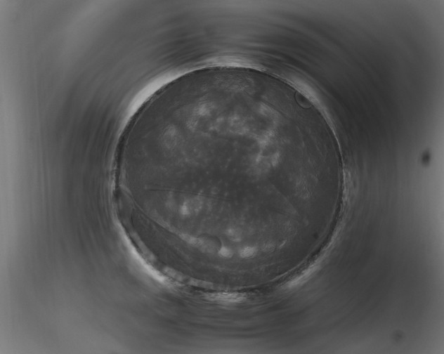 X0000116581141200912101534