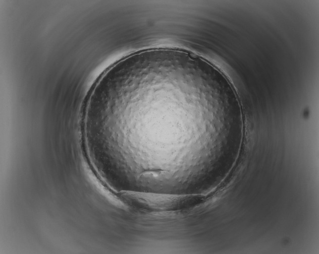X0000116581142200912101534