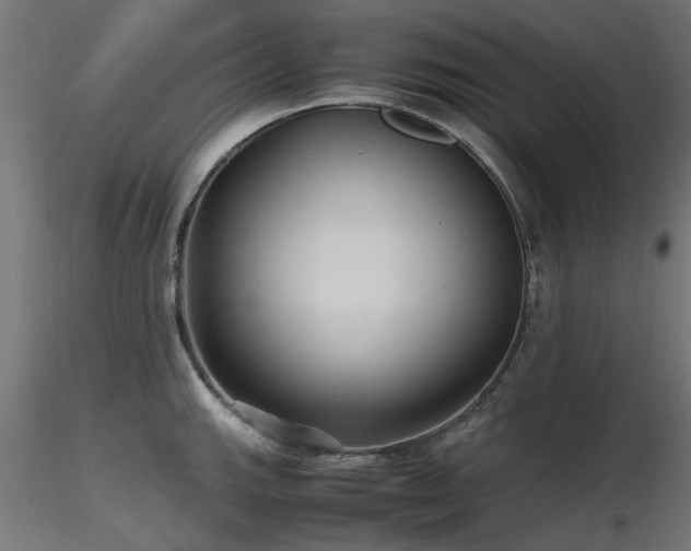 X0000116581143200912101534