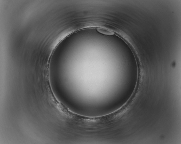 X0000116581145200912101534