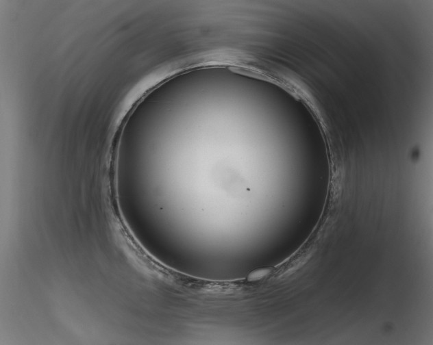 X0000116581146200912101534