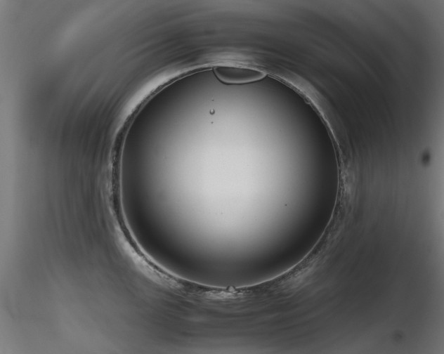 X0000116581147200912101534