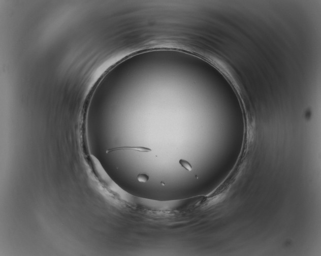 X0000116581149200912101534
