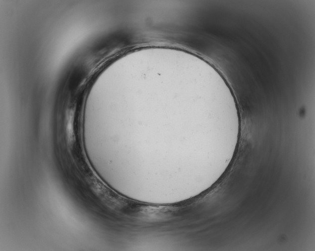 X0000116581150200912101534