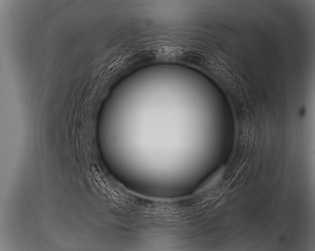X0000116581153200912101534