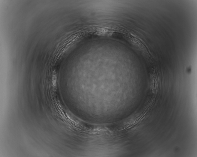 X0000116581154200912101534