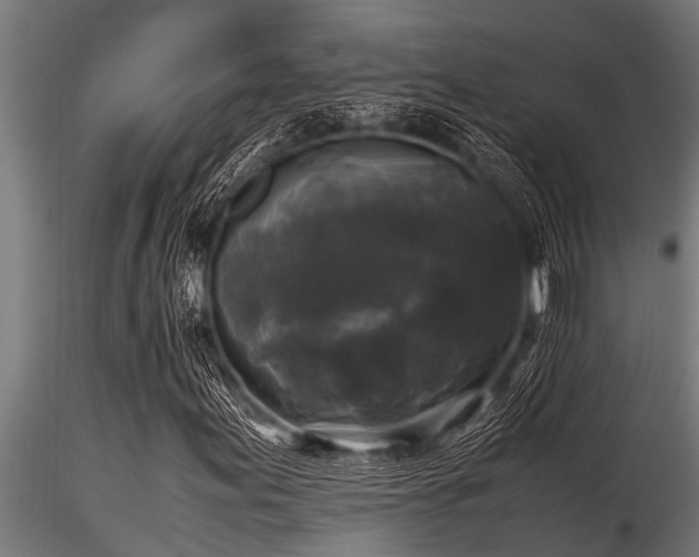 X0000116581155200912101534