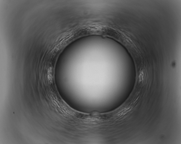 X0000116581156200912101534