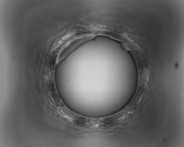 X0000116581157200912101534