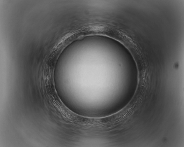 X0000116581158200912101534