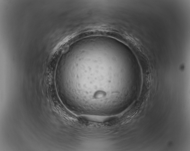X0000116581159200912101534