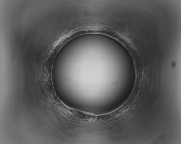 X0000116581160200912101534