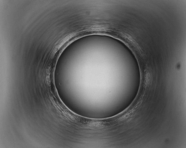 X0000116581162200912101534