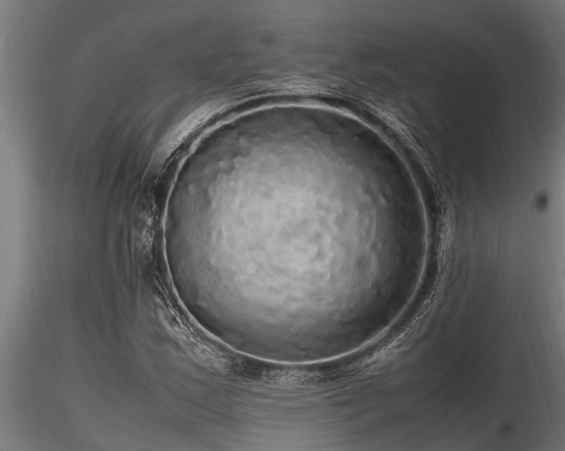 X0000116581163200912101534
