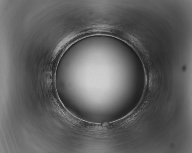 X0000116581164200912101534