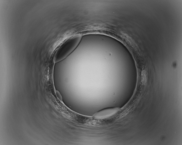 X0000116581165200912101533