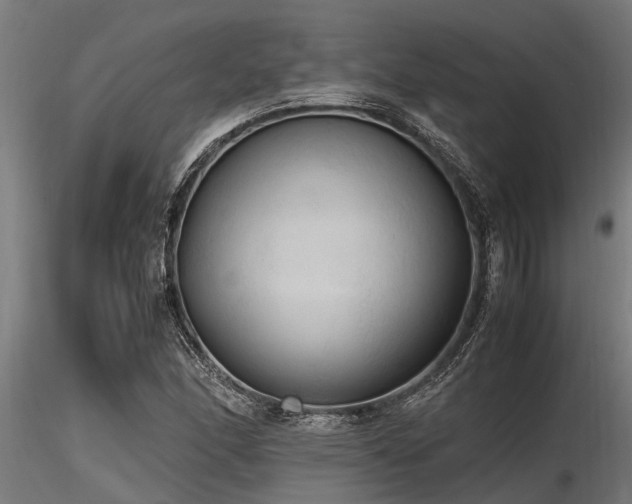 X0000116581166200912101533