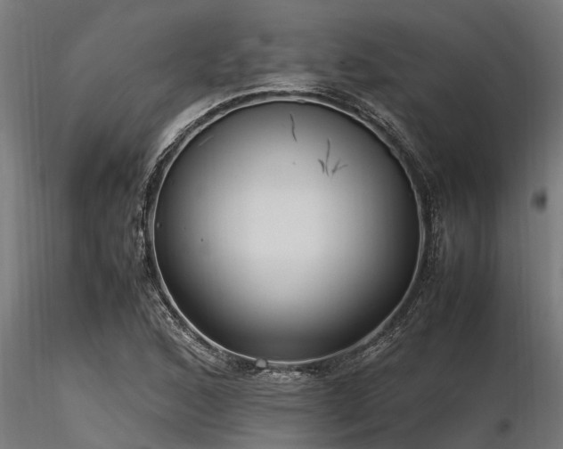 X0000116581168200912101533