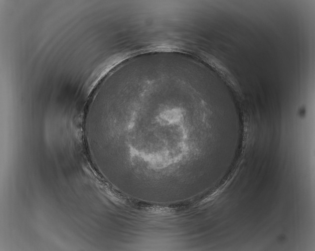 X0000116581170200912101533
