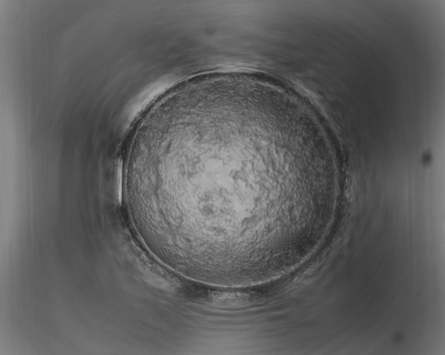 X0000116581171200912101533