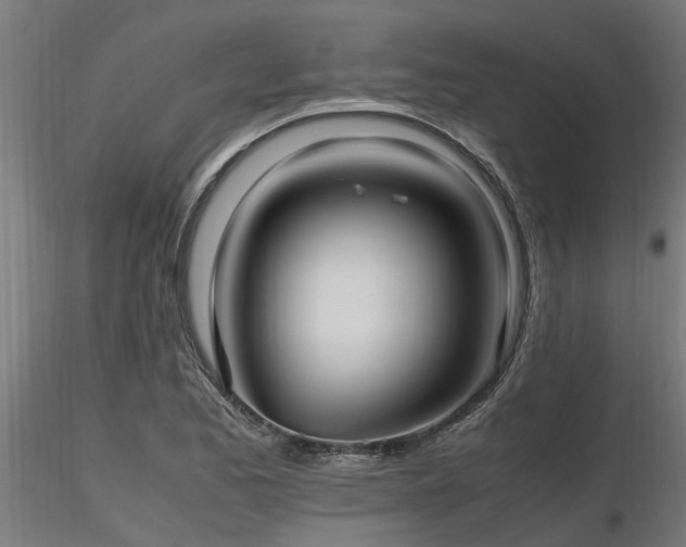 X0000116581173200912101533