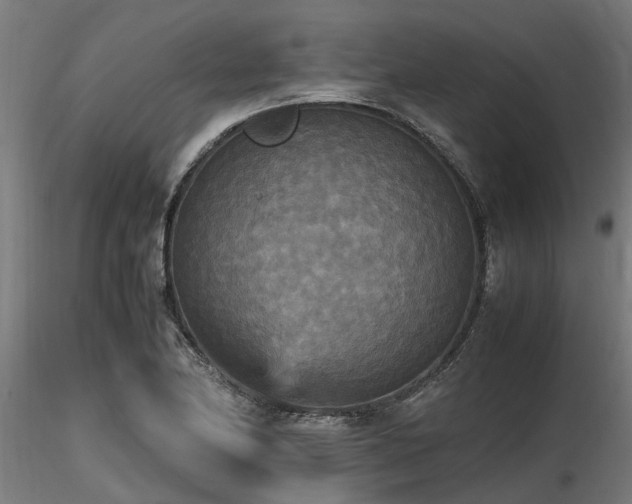 X0000116581174200912101533
