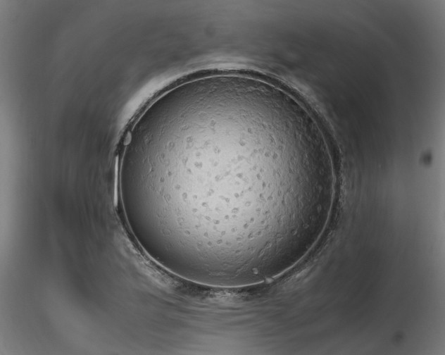 X0000116581175200912101533