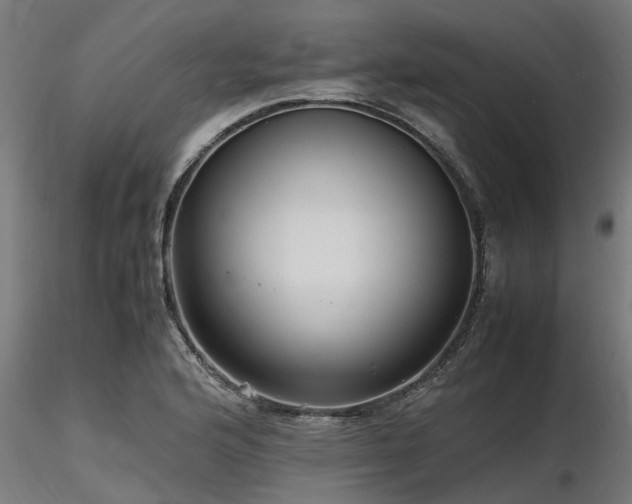 X0000116581176200912101533