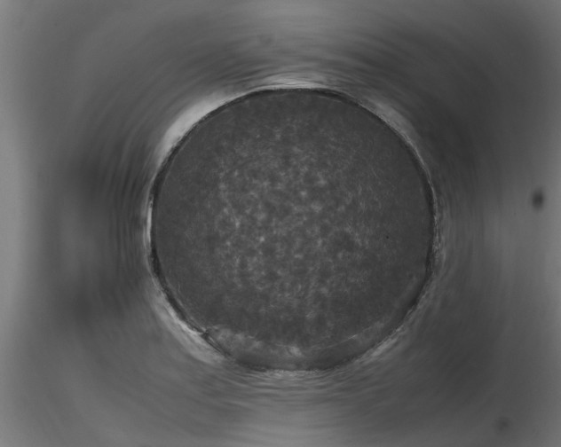X0000116581179200912101533