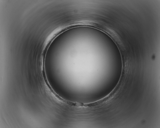 X0000116581180200912101533