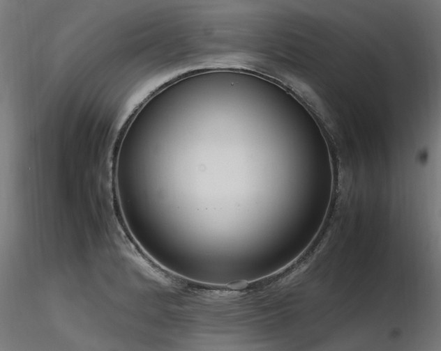 X0000116581184200912101533