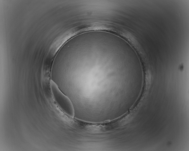 X0000116581185200912101533